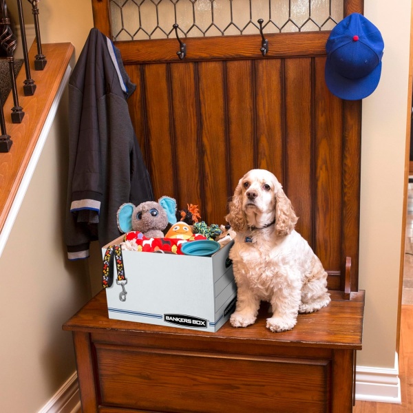 Bankers Box photo 10